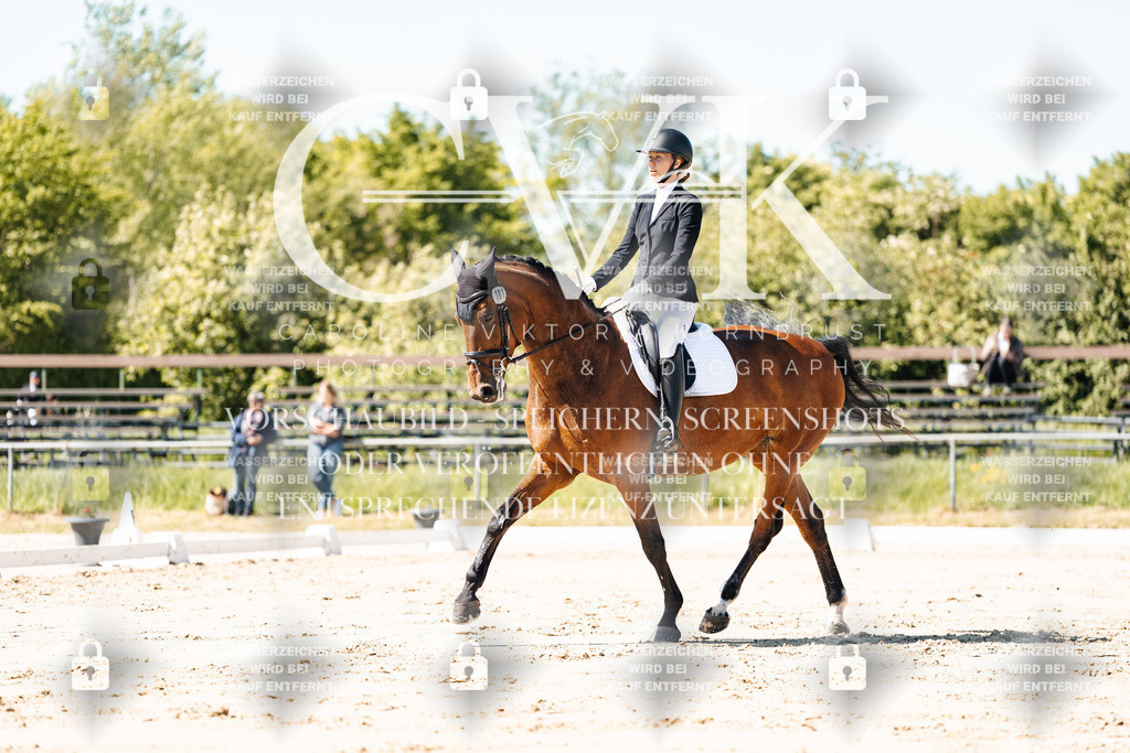 CK905157 | Turnierfotografie Pferdefotografie Trier Rheinland-Pfalz Pferdesport Reitsport Tierfotografie Sportfotografie Pferdevideo Pferdevideografie Equestrianvideography equestrianphotography  - Realisiert mit Pictrs.com