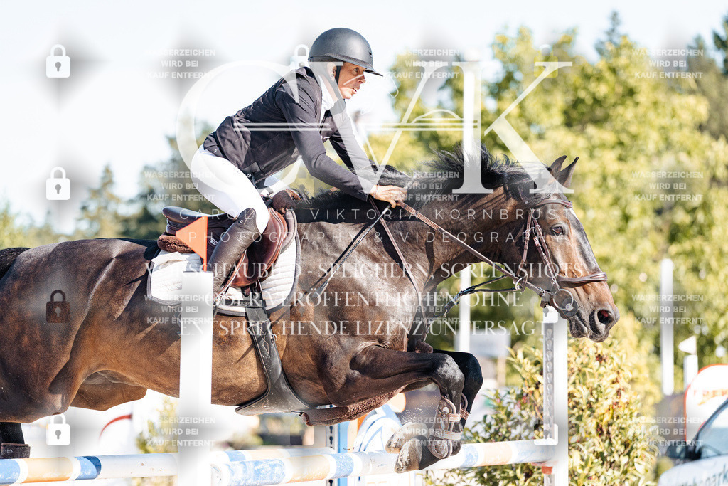 CK904537 | Turnierfotografie Pferdefotografie Trier Rheinland-Pfalz Pferdesport Reitsport Tierfotografie Sportfotografie Pferdevideo Pferdevideografie Equestrianvideography equestrianphotography  - Realisiert mit Pictrs.com