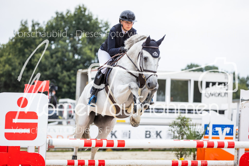 BHO-2PhSpr-M-115 | MomenTaufnahmen Pferdesportfotos