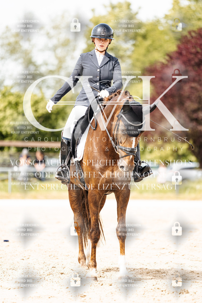 CK901358 | Turnierfotografie Pferdefotografie Trier Rheinland-Pfalz Pferdesport Reitsport Tierfotografie Sportfotografie Pferdevideo Pferdevideografie Equestrianvideography equestrianphotography  - Realisiert mit Pictrs.com