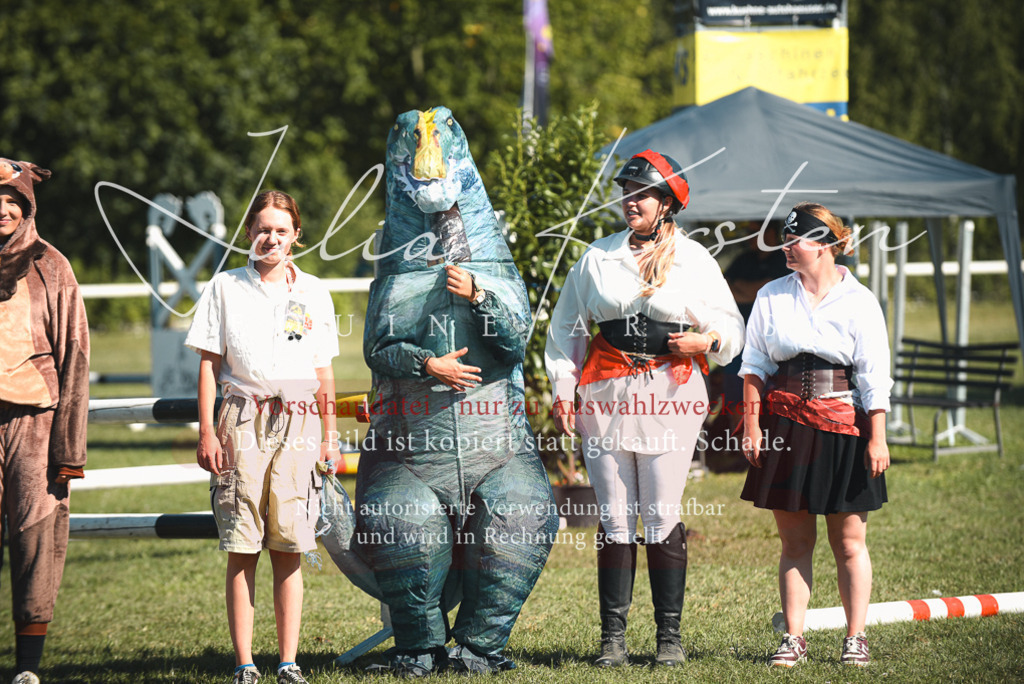 DSC_7780 | Pferde- und Turnierfotografie in Westsachsen. Pferdeportraits, Auftragszeichnungen und intuitive Kunst.