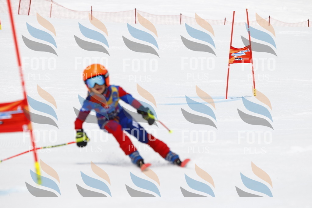 _U3G7340 | holidayphoto