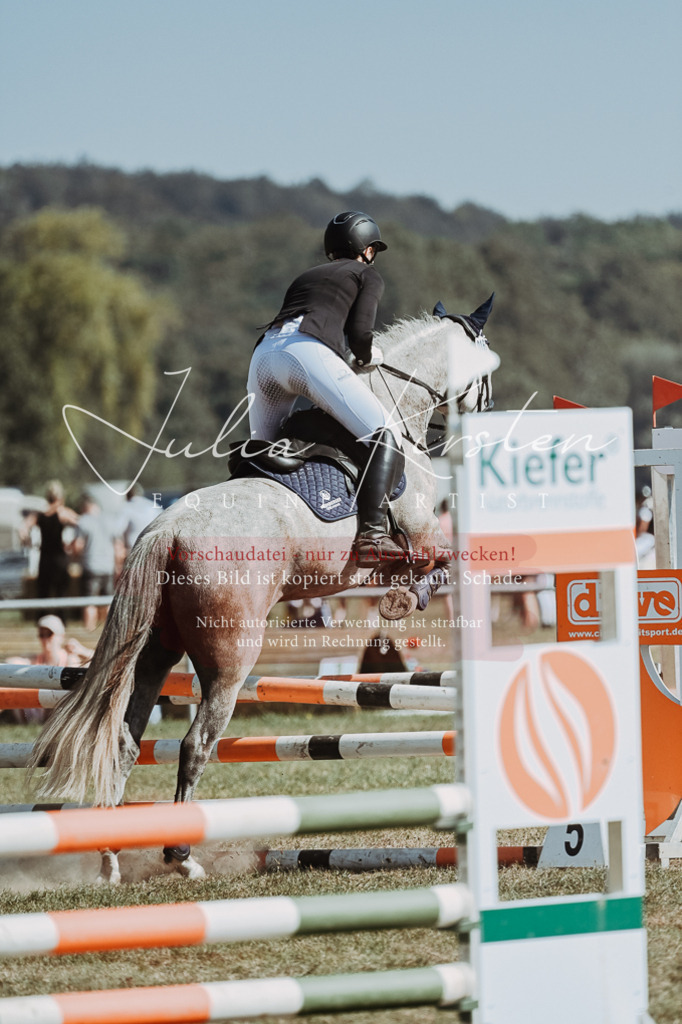 DSC_9482 | Pferde- und Turnierfotografie in Westsachsen. Pferdeportraits, Auftragszeichnungen und intuitive Kunst.