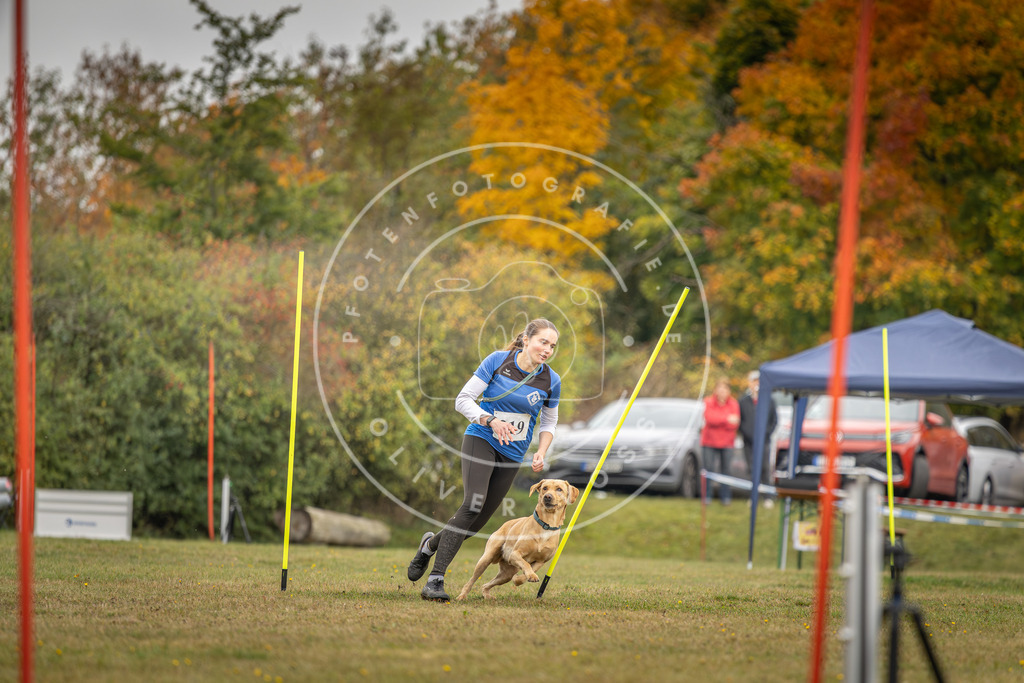 Pfotenfotografie_DV3A3647 | Hundefotografie, Tierfotograf, Pfotenfotografie, Fotoshooting Hund, Hunde Portrait, Hundesport, Hundeportraits, Heideshooting, Hunde, Sportfotograf, Hundefotograf, Turnierhundsport, THS,  - Realisiert mit Pictrs.com
