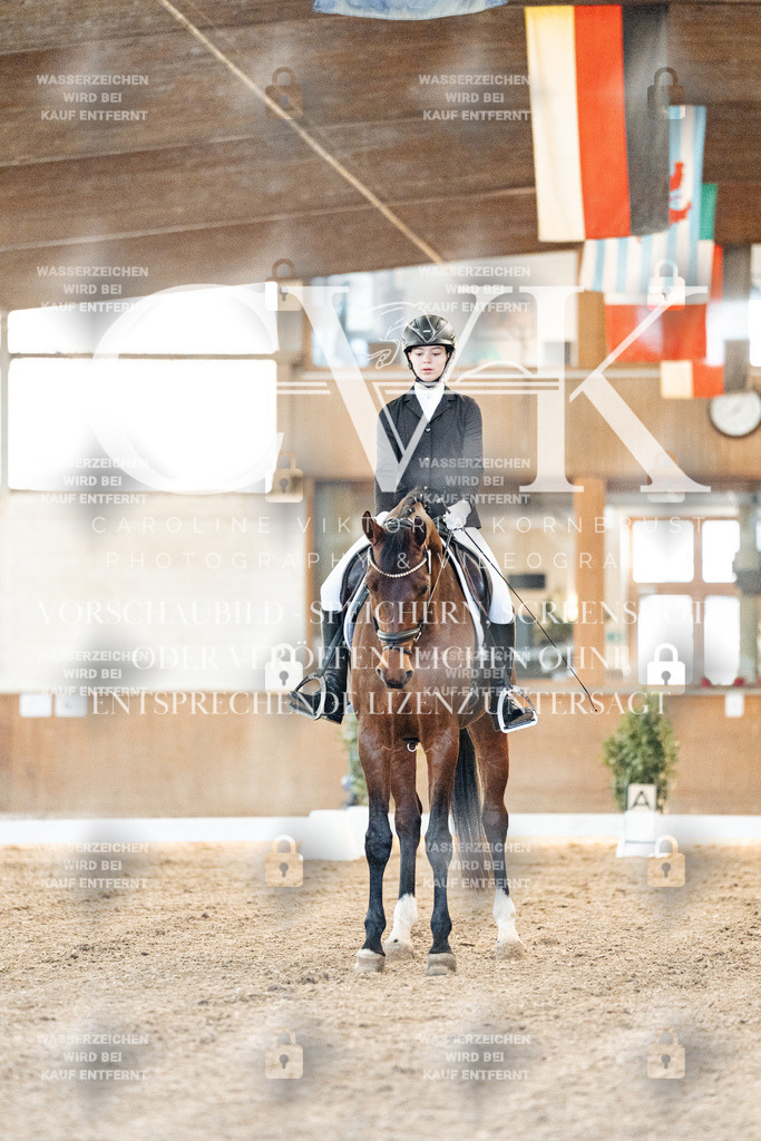 CK906459 | Turnierfotografie Pferdefotografie Trier Rheinland-Pfalz Pferdesport Reitsport Tierfotografie Sportfotografie Pferdevideo Pferdevideografie Equestrianvideography equestrianphotography  - Realisiert mit Pictrs.com