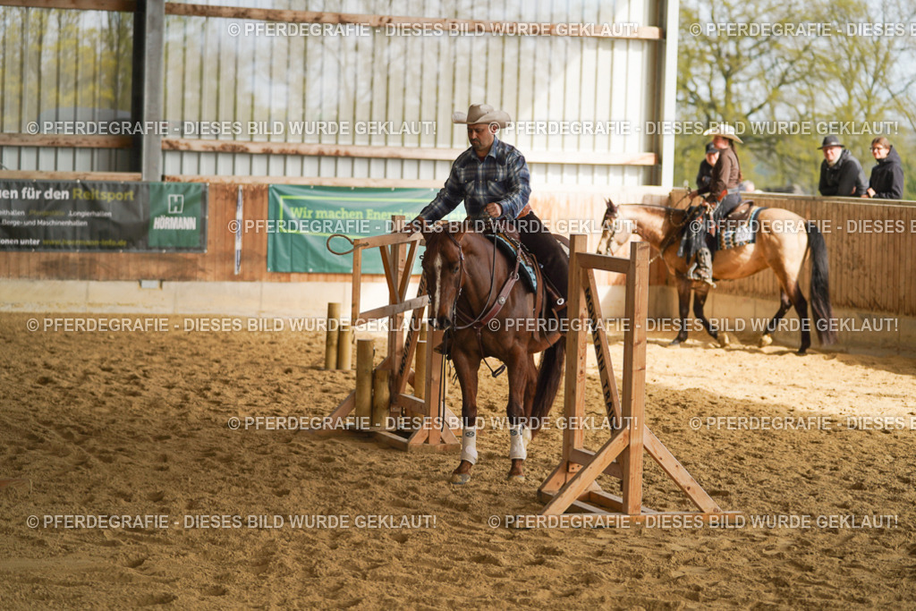 DSC01653 | Pferdegrafie