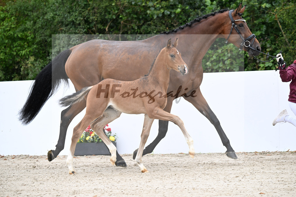 Sky x Bon Vivaldi NRW_HF_Klement_23250082 | hf-fotografie - Realizzato con Pictrs.com