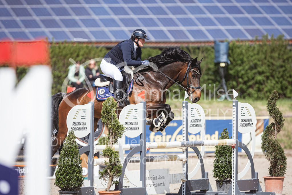 250419_Frühlingsfest_Stil-A2-2-629 | Deine schönsten Turniermomente als professionelle Fotos! Entdecke hochwertige Pferdesport-Fotografie im Online-Shop. Jetzt Fotos finden & bestellen!