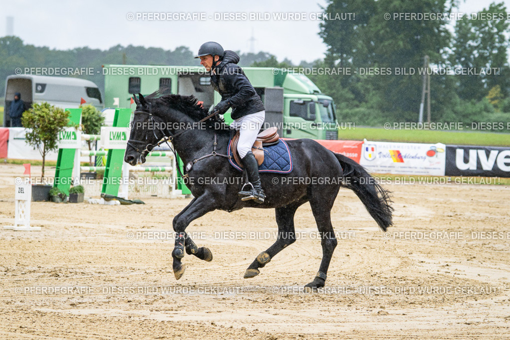 DSC04408 | Pferdegrafie