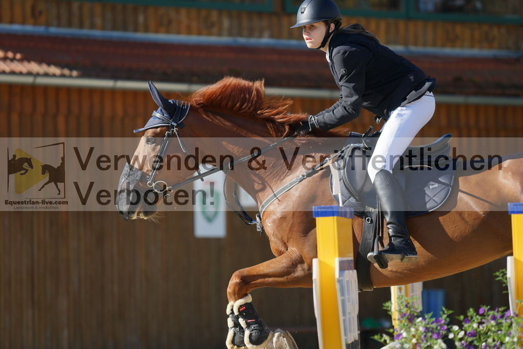 DSC02242 | equestrian-live-com