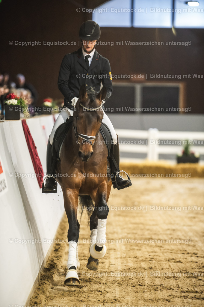 20240302_Hengstvorstellung_Marbach_TOMsPiC_0145 | equistock