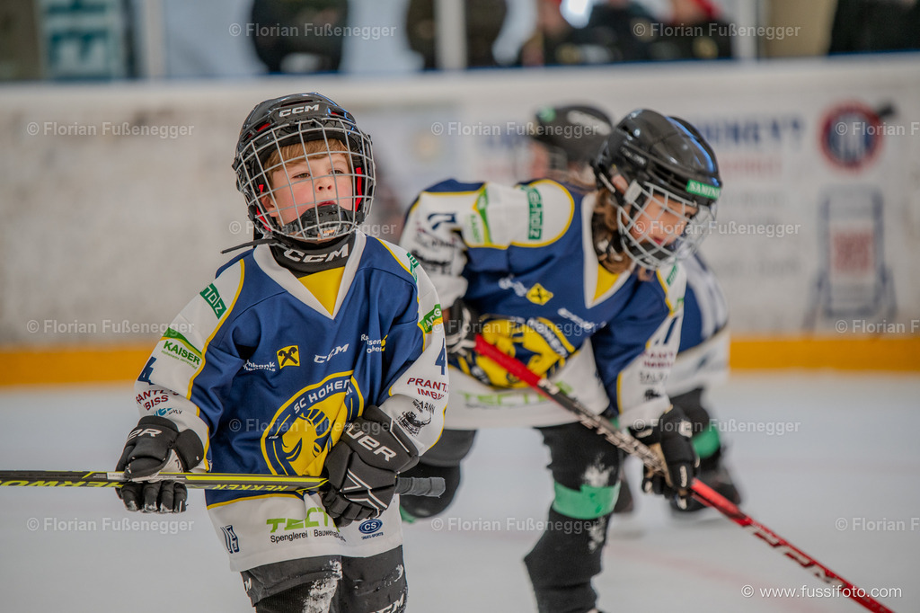 DSC_1096 | "Fussifoto.com – Ihr Ansprechpartner für hochwertige Fotografie! Entdecken Sie kreative Bilder und professionelle Dienstleistungen. Kontaktieren Sie uns für Ihre Projekte!"