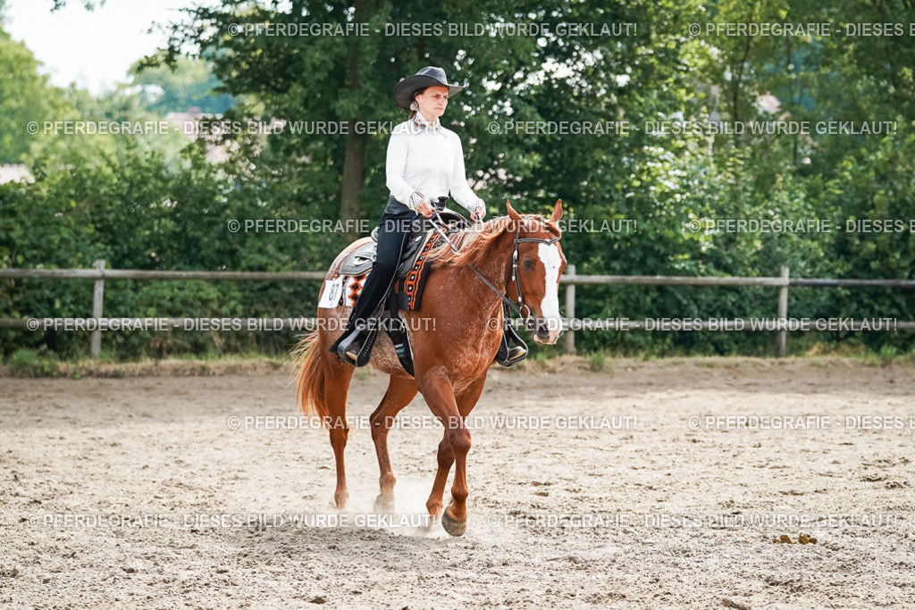 DSC04436 | Pferdegrafie