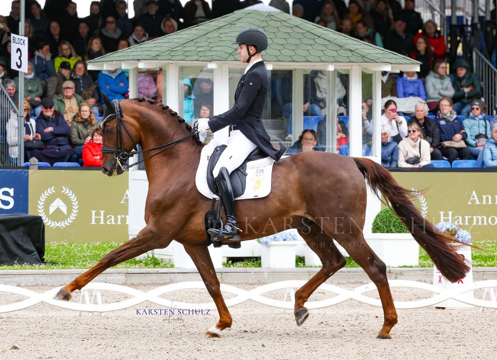 IMG_0119 | Reitsport Reiten
