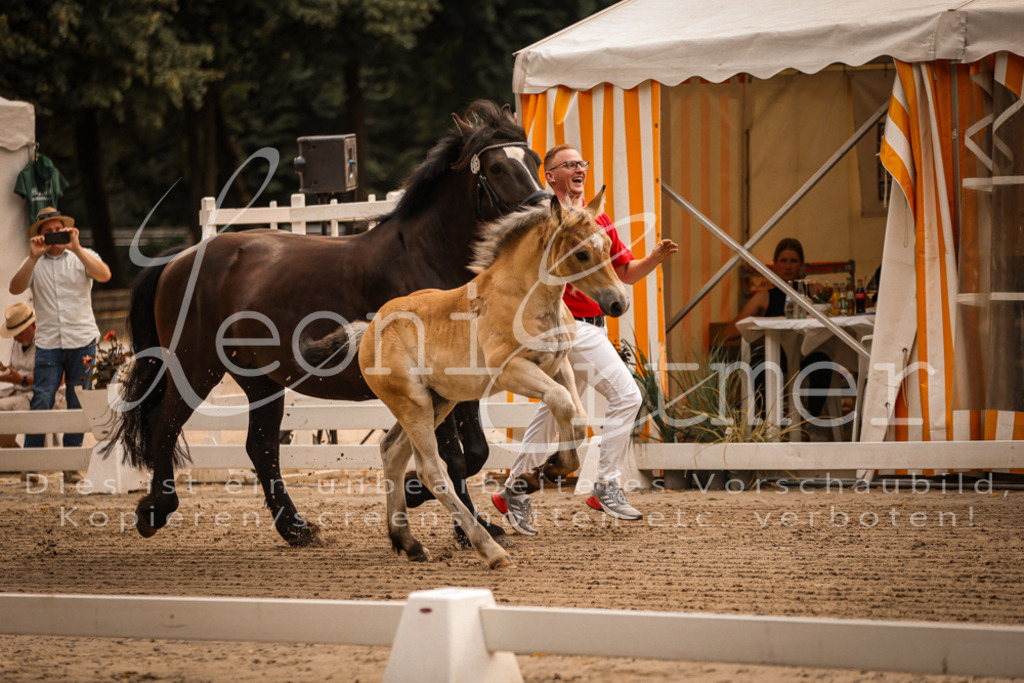 SaSF00033 | Leoni Ertmer Photography - Realisiert mit Pictrs.com