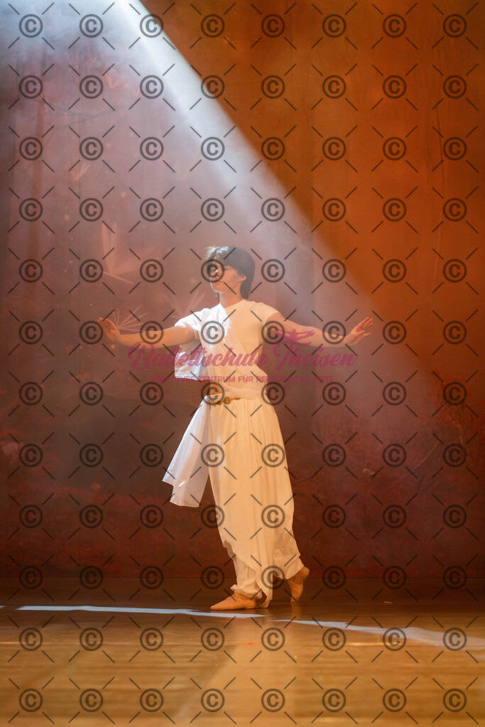 Ballettaufführung-1739 | Bildershop Lem'n Entertainment - Realisiert mit Pictrs.com