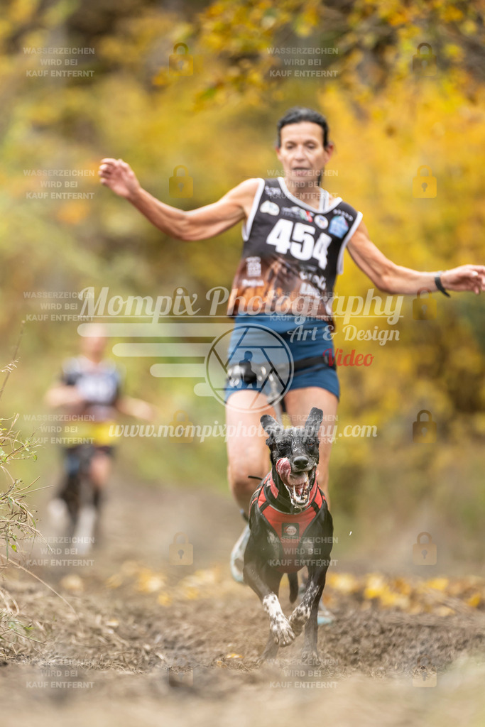 MompixPhotography_ICF_WC_2024_SA_Run_-467 | PayLife