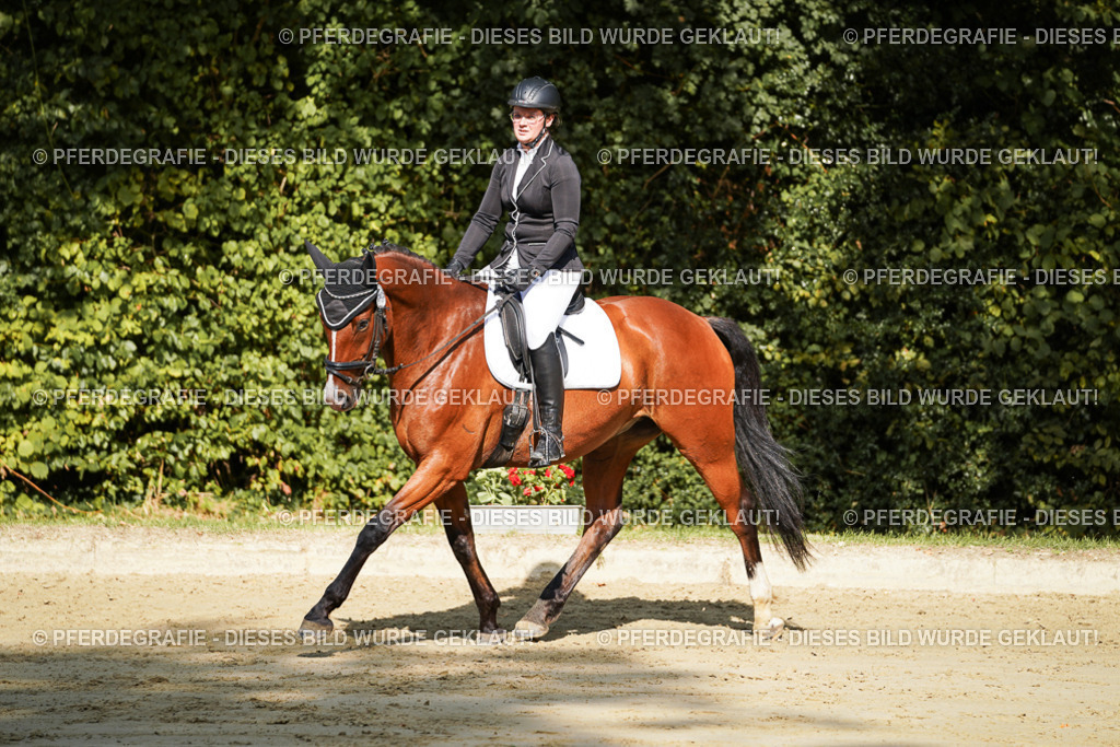 DSC08409 | Pferdegrafie