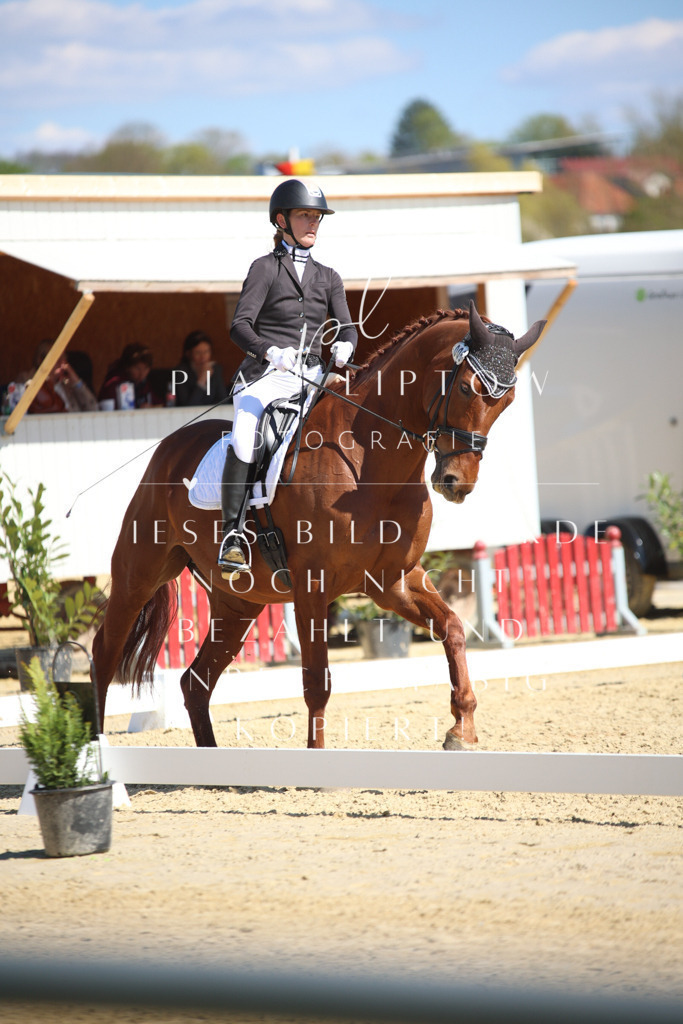 IMGT7940 | pl-fotografie