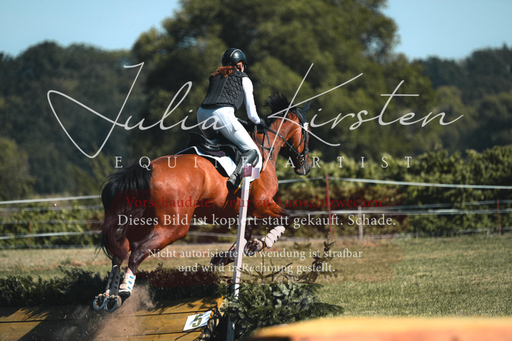 DSC_8298 | Pferde- und Turnierfotografie in Westsachsen. Pferdeportraits, Auftragszeichnungen und intuitive Kunst.