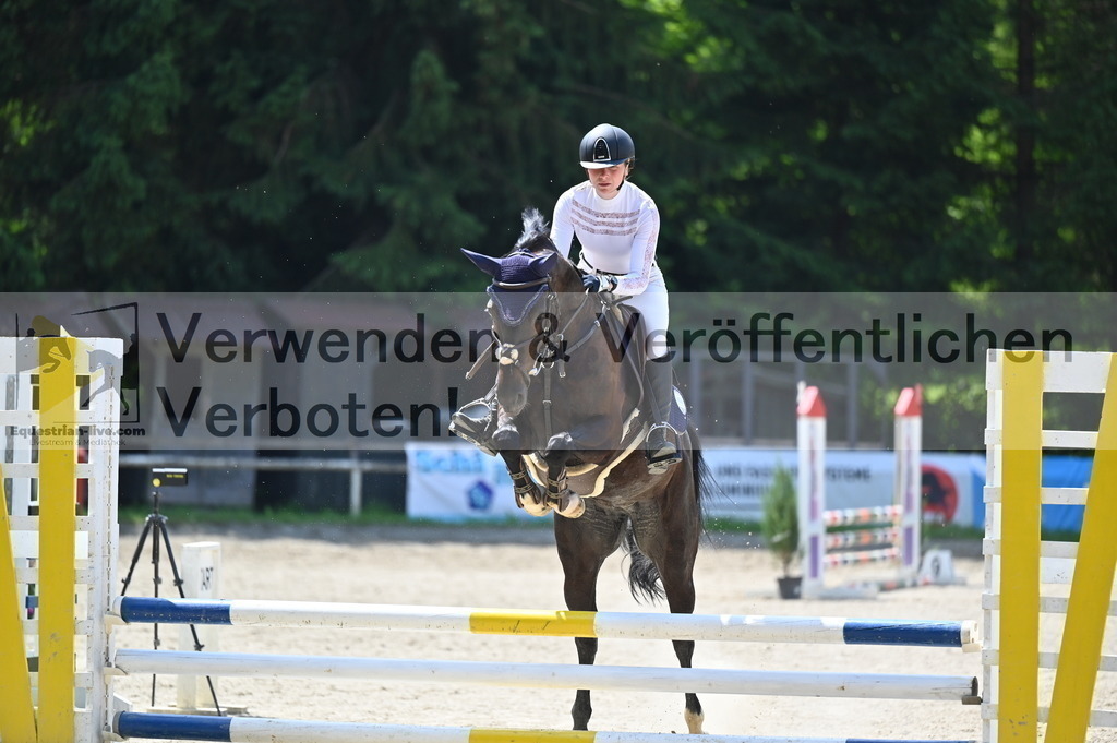 DSC_4242 | equestrian-live-com