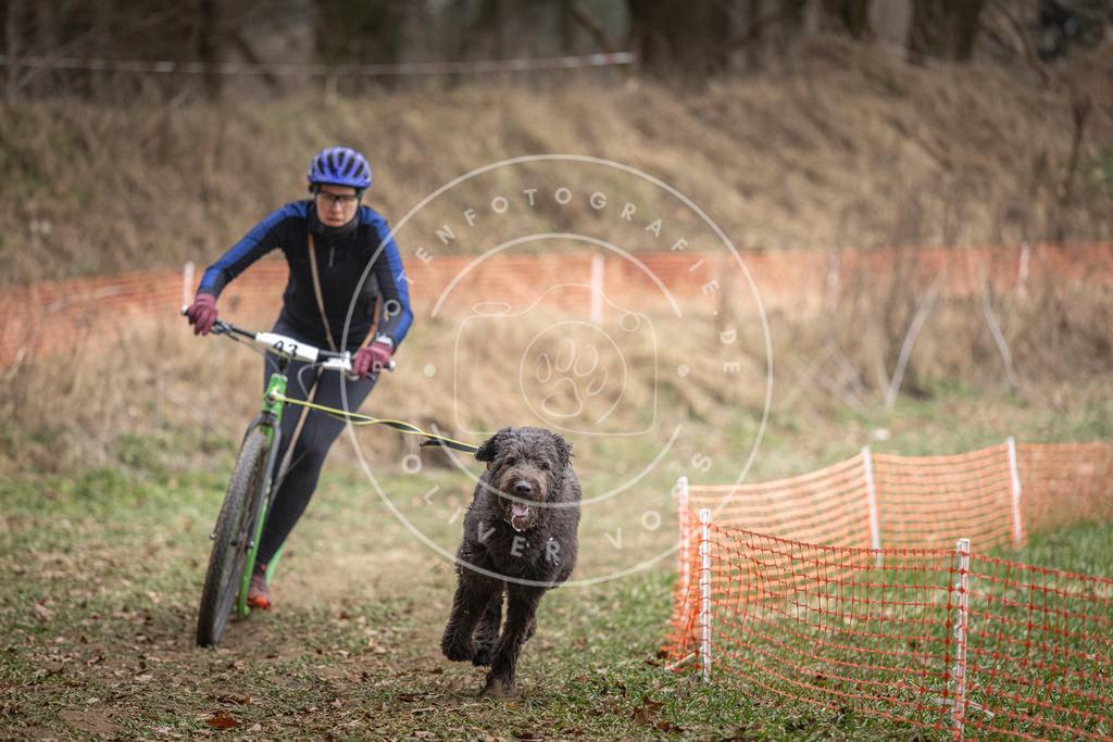 Pfotenfotografie_DV3A6586 | Hundefotografie, Tierfotograf, Pfotenfotografie, Fotoshooting Hund, Hunde Portrait, Hundesport, Hundeportraits, Heideshooting, Hunde, Sportfotograf, Hundefotograf, Turnierhundsport, THS,  - Realisiert mit Pictrs.com