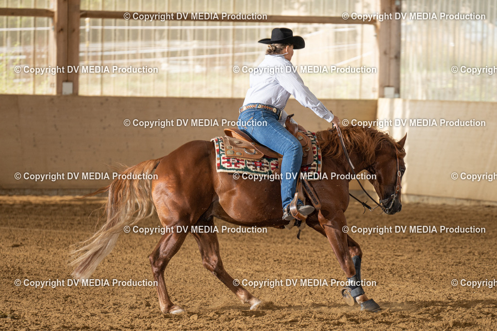 LAU01587 | dv-media-shop - Realisiert mit Pictrs.com