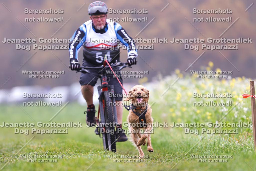 Dog Paparazzi - Visbeck 25 -234 | Dog Paparazzi Jeanette Grottendiek Fotografie & Videografie - Realisiert mit Pictrs.com