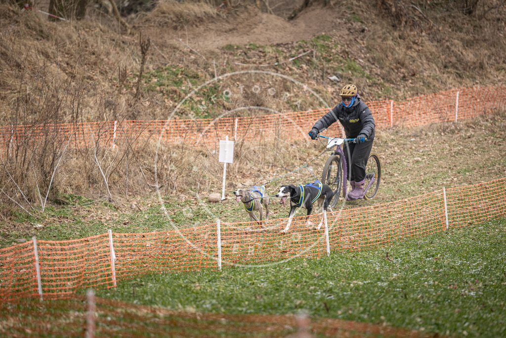 Pfotenfotografie_DV3A6619 | Hundefotografie, Tierfotograf, Pfotenfotografie, Fotoshooting Hund, Hunde Portrait, Hundesport, Hundeportraits, Heideshooting, Hunde, Sportfotograf, Hundefotograf, Turnierhundsport, THS,  - Realisiert mit Pictrs.com