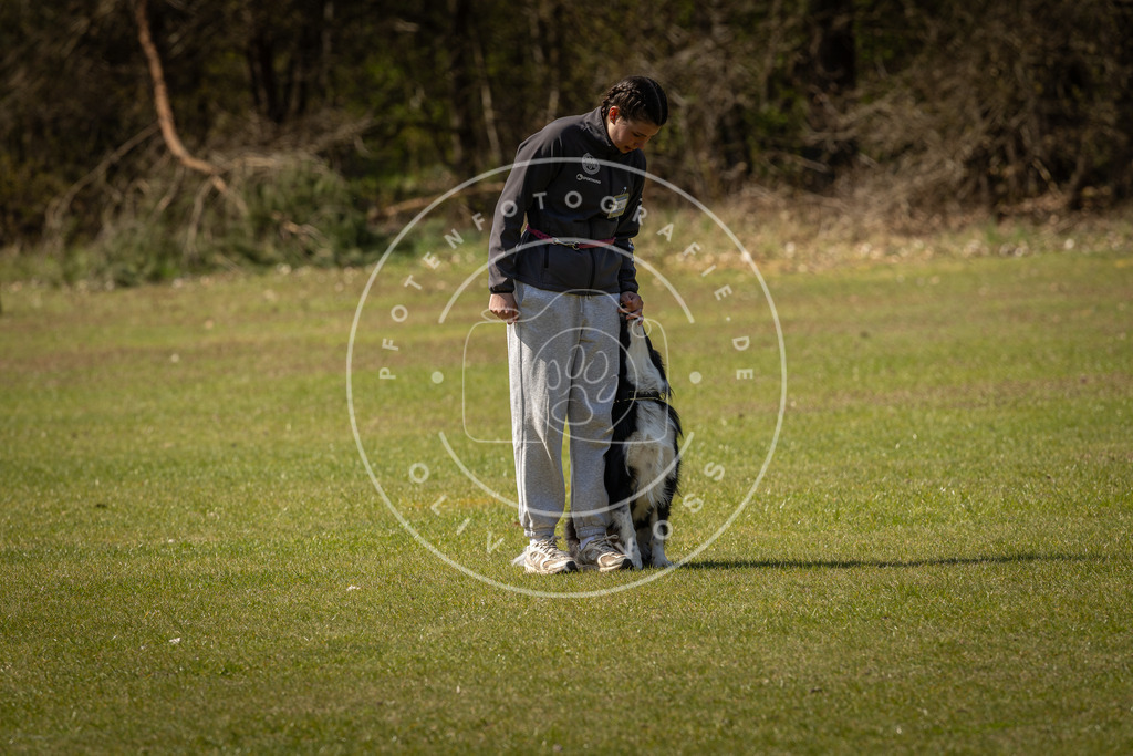 Pfotenfotografie_DV3A1061 | Hundefotografie, Tierfotograf, Pfotenfotografie, Fotoshooting Hund, Hunde Portrait, Hundesport, Hundeportraits, Heideshooting, Hunde, Sportfotograf, Hundefotograf, Turnierhundsport, THS,  - Realisiert mit Pictrs.com