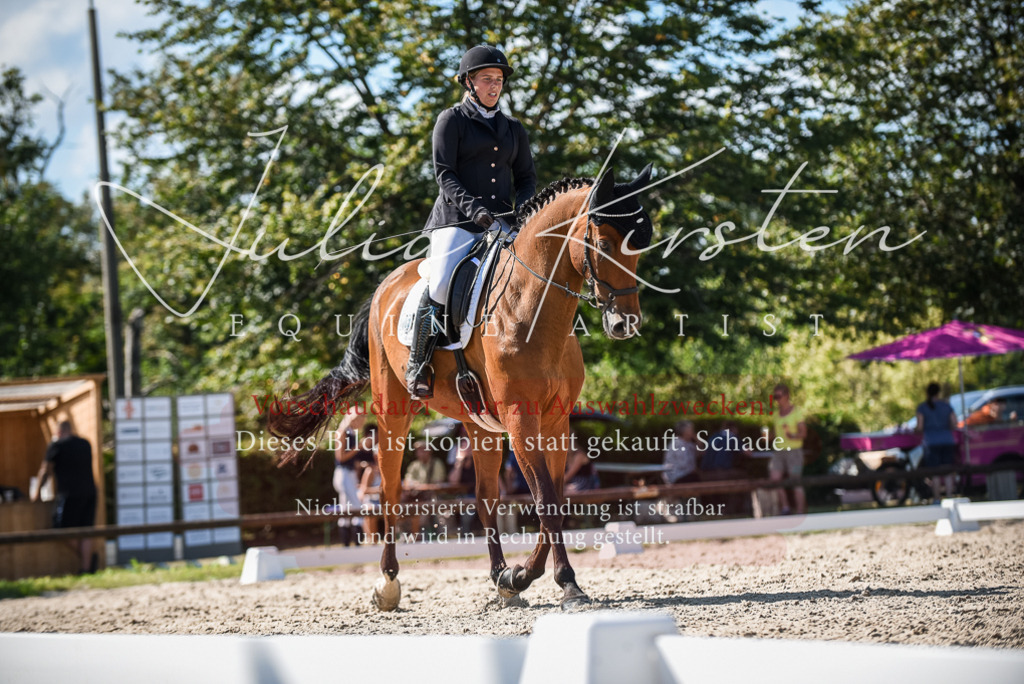 DSC_9662 | Pferde- und Turnierfotografie in Westsachsen. Pferdeportraits, Auftragszeichnungen und intuitive Kunst.