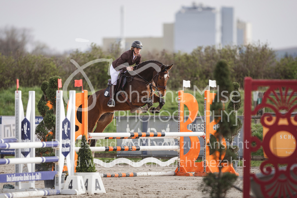 240330_Fruehlingsfest_Amateur-SprPf-A-208 | Deine schönsten Turniermomente als professionelle Fotos! Entdecke hochwertige Pferdesport-Fotografie im Online-Shop. Jetzt Fotos finden & bestellen!