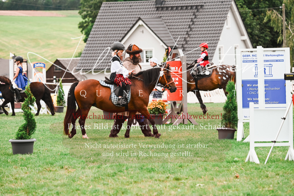 DSC_7372 | Pferde- und Turnierfotografie in Westsachsen. Pferdeportraits, Auftragszeichnungen und intuitive Kunst.