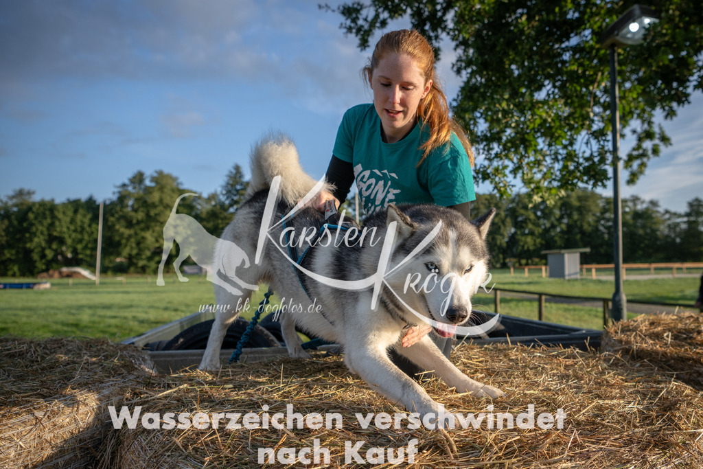 0808_ZZ90397 | kk-dogfotos