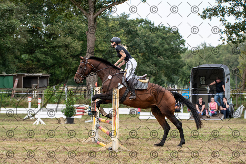 SHT_7588 | andre_photographic