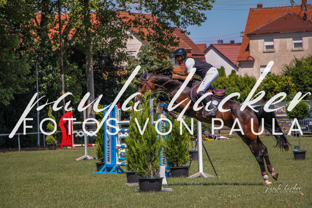 IMG_9739 | Erleben Sie dynamische Sport- und emotionale Tierfotografie in Süddeutschland mit Fotos von Paula. Spezialisiert auf Pferde- und Hundefotografie sowie Sportevents. Kontaktieren Sie mich für einzigartige und ausdrucksstarke Bilder Ihrer besonderen Momente. - Realisiert mit Pictrs.com