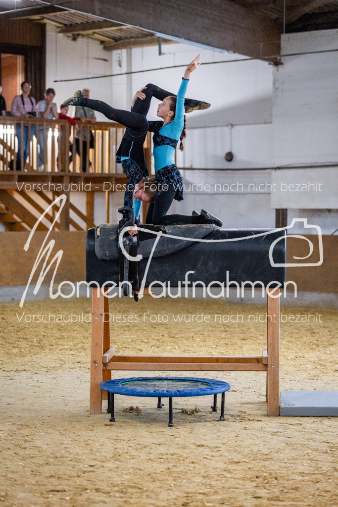 Holzpferd-052 | MomenTaufnahmen Pferdesportfotos