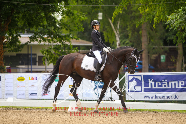 DKP42082 | Turniersportfotografie; Pferdefotografie; Dressurfotografie