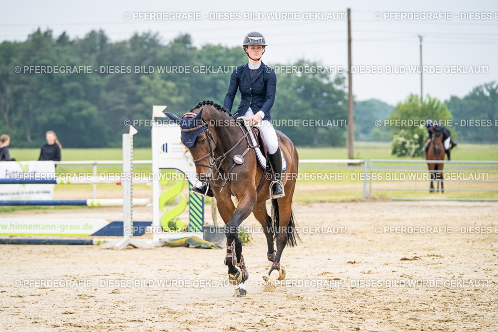 DSC00046 | Pferdegrafie