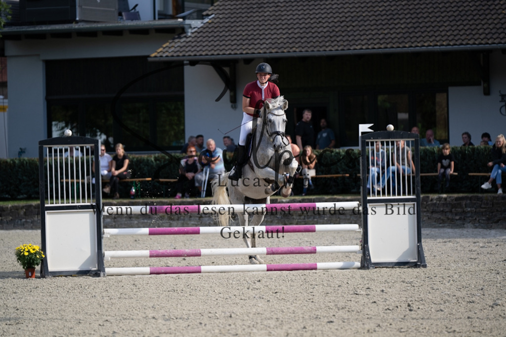 A7V07793 | Pferdefotograf