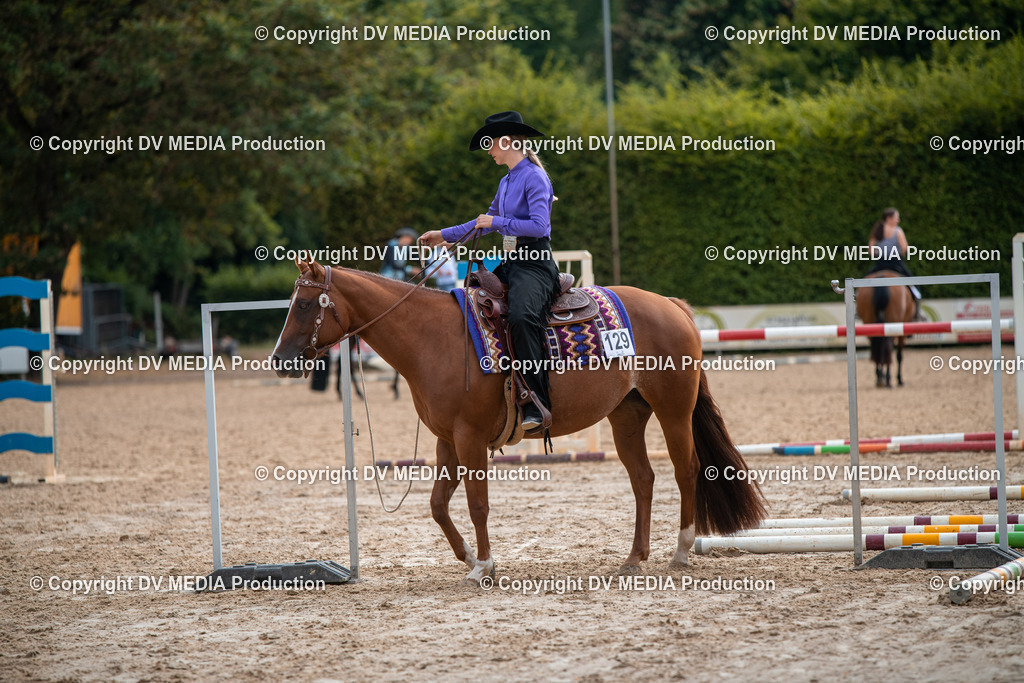 ZS3_9345 | dv-media-shop - Realisiert mit Pictrs.com