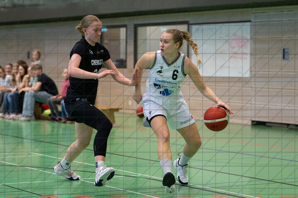 2. DBBL Nord 24/25 | 09.03.2025 | BBC OS vs. ChemCats Chemnitz | 2. DBBL Nord 24/25 | 09.03.2025 | BBC OS vs. ChemCats Chemnitz - - - - - CREDIT, www.bullenfotos.de, Martin König, Hörner Weg 40, D-49078 Osnabrück, +4917663732967, Nutzung und Weitergabe nur zu den vereinbarten Zwecken. Presseanfragen an Urheber. Alle Rechte beim Urheber. - - - - - - Realisiert mit Pictrs.com