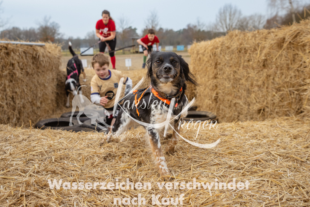 0904_ZZ96450 | kk-dogfotos