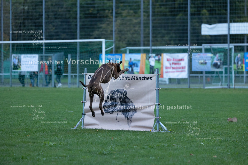 _16A4453 | Einzigartige Fotos von Hunden & Menschen –Actionfotos, Portraits, Vereinsaufnahmen & Paarshootings – authentisch, lebendig & mit Herz.