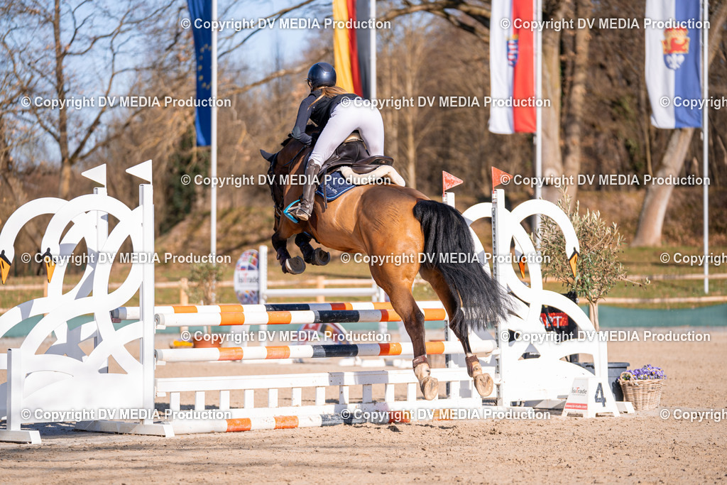 Kranichstein Tag 1-324 | dv-media-shop - Realisiert mit Pictrs.com