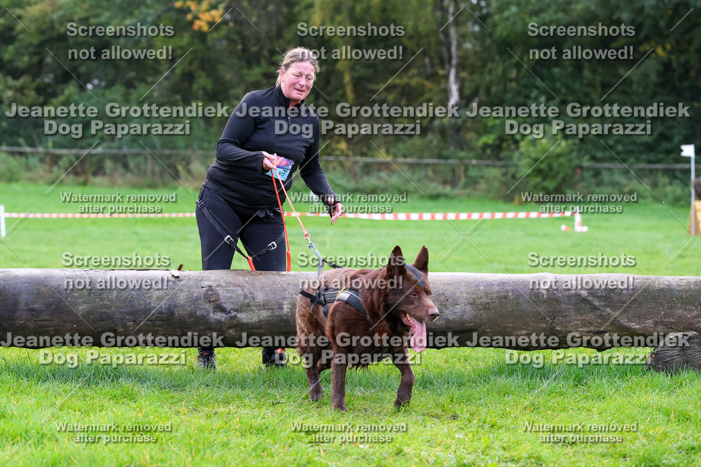 Dog Paparazzi -  SD1026-1020 | Dog Paparazzi Jeanette Grottendiek Fotografie & Videografie - Realisiert mit Pictrs.com
