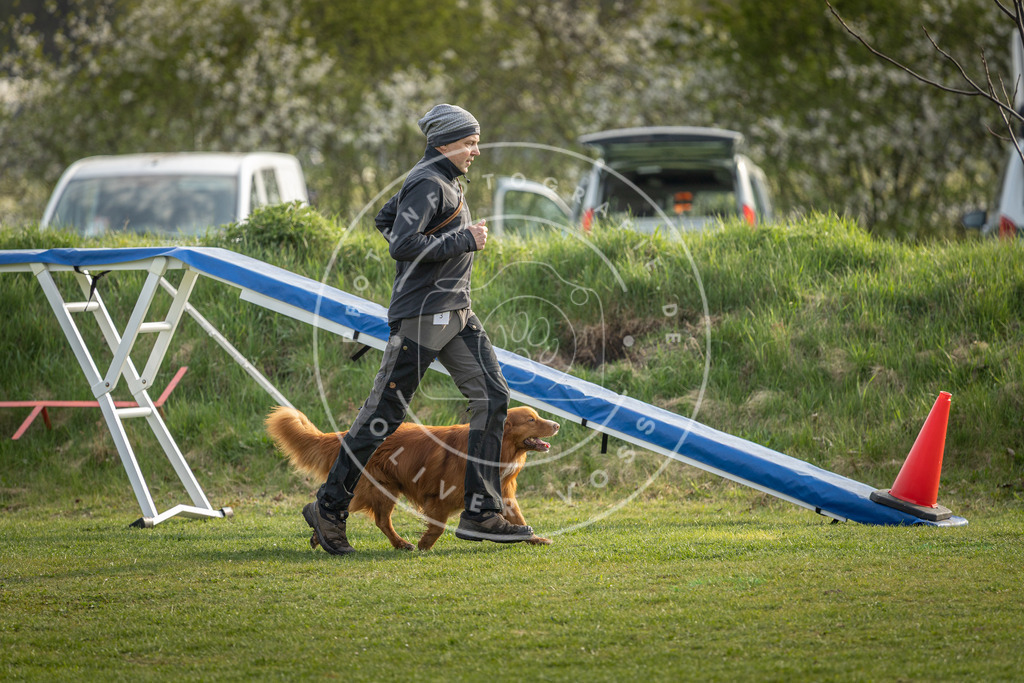 Pfotenfotografie_DV3A4766 | Hundefotografie, Tierfotograf, Pfotenfotografie, Fotoshooting Hund, Hunde Portrait, Hundesport, Hundeportraits, Heideshooting, Hunde, Sportfotograf, Hundefotograf, Turnierhundsport, THS,  - Realisiert mit Pictrs.com