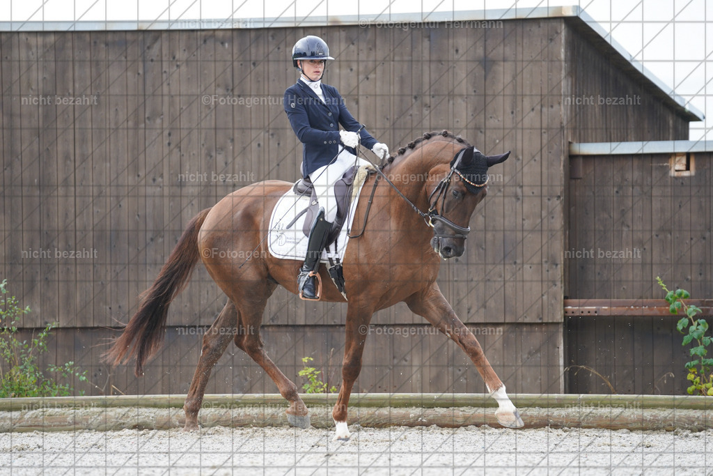 20230826-FAH04327 | Forstinning, 2023, Dressurturnier, Turniersportbilder, Turnierfotografen Bayern, Fotoagentur Herrmann, Reitsportfotografie, Turnierbilder