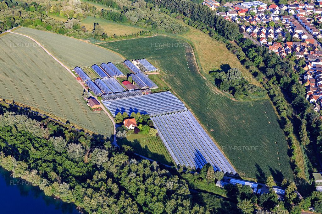 Luftbild: Gärtnerei im Wörth im Ortsteil Leopoldshafen in Eggenstein-Leopoldshafen im Bundesland Baden-Württemberg in Deutschland. Foto: IMG_080777.jpg vom 13.06.2015 durch Werner Riehm/FLY-FOTO.de