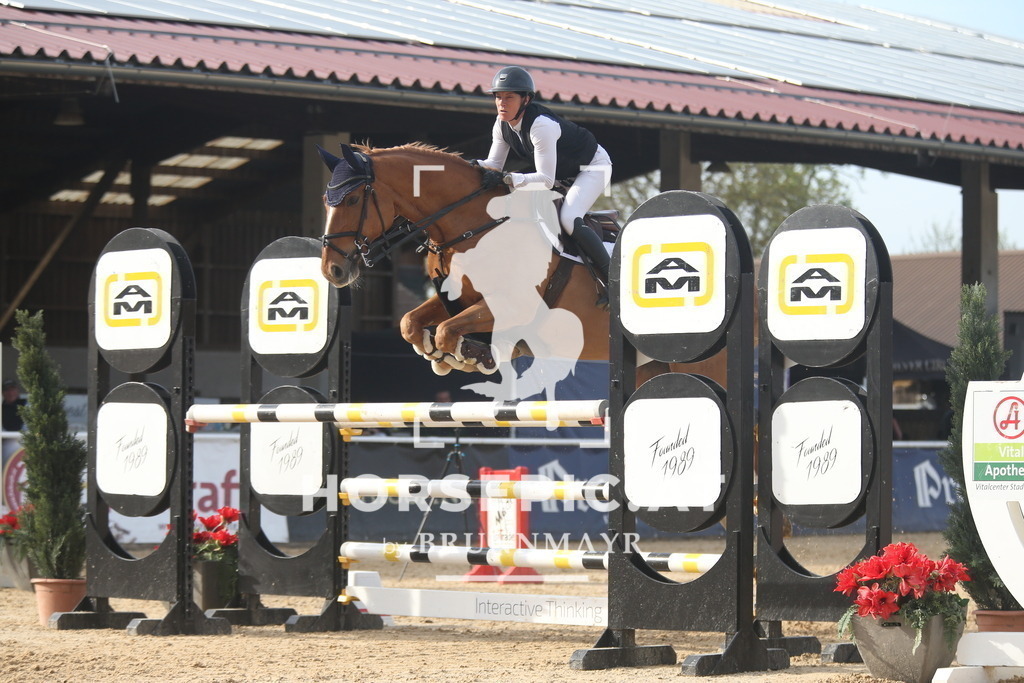 AS8V8601 | Willkommen bei Brunnmayr - Design & Fotografie – Ihrem Spezialisten für Reitturniere und Pferdeveranstaltungen in Oberösterreich, Salzburg und Bayern! Seit über 17 Jahren sind wir leidenschaftlich dabei.